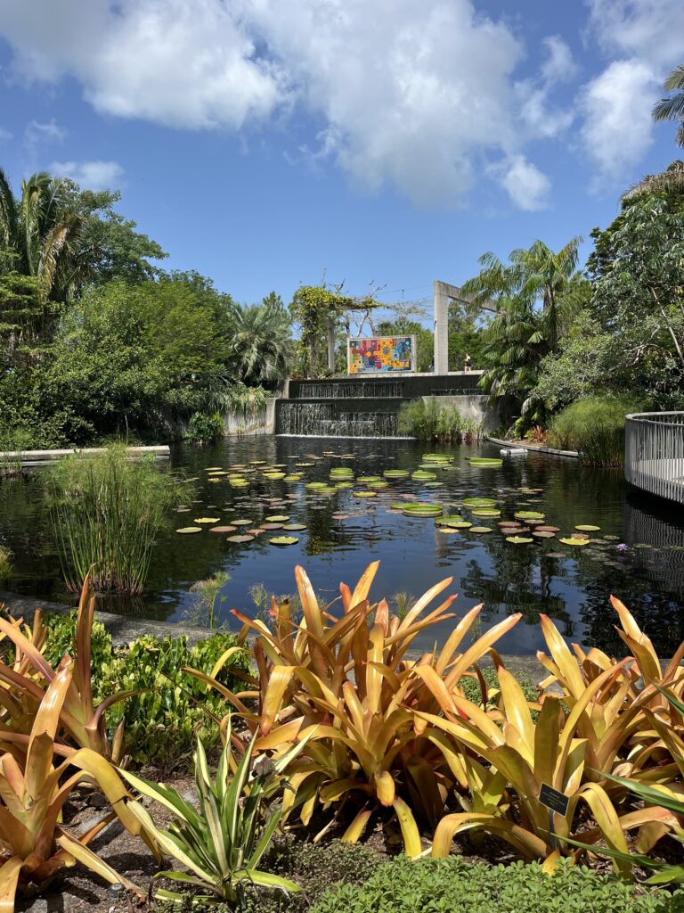 Botanischer Garten, Mosquitos und weiter gehts