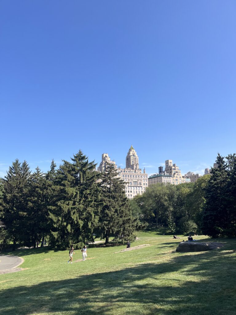 Central Park, Bronx & Whitney Museum