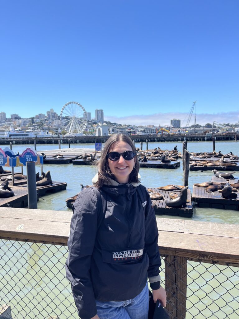 Alcatraz-Insel… oder doch nicht