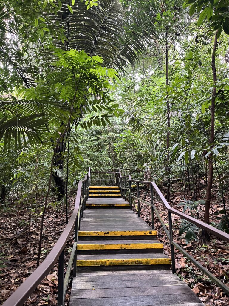 Botanischer Garten, Little India, Chinatown & National Museum of History