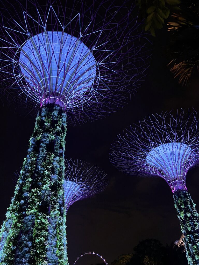 Mall, River & Gardens by the Bay