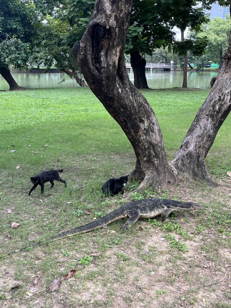 Mit dem Grab durch Bangkok – Malls, Sim-Karten-Suche, Warane …