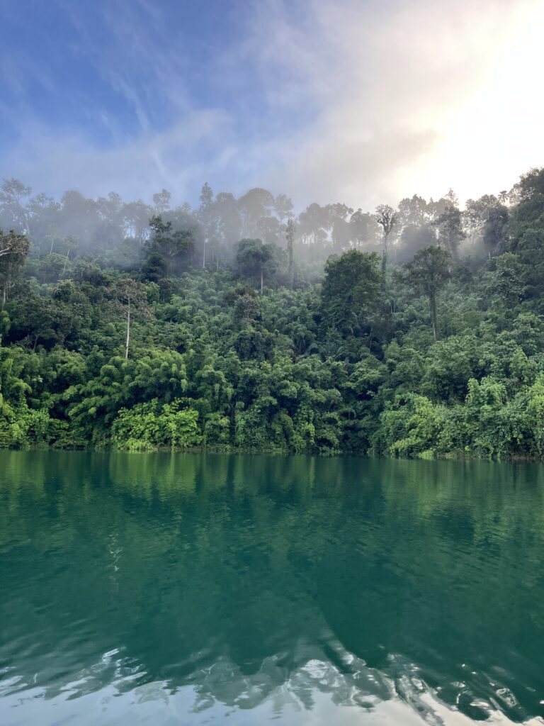 Safari am Morgen & Rückreise nach Bangkok