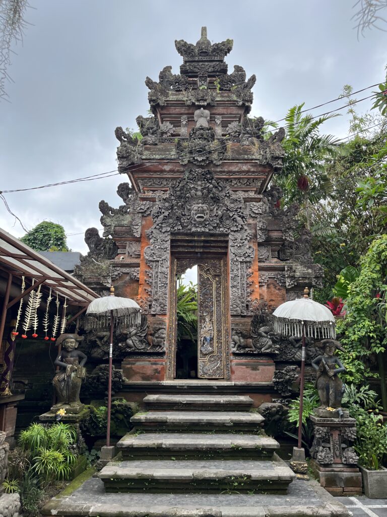 Ein ruhiger Tag in Ubud – Mit Affen und Reisfeldern
