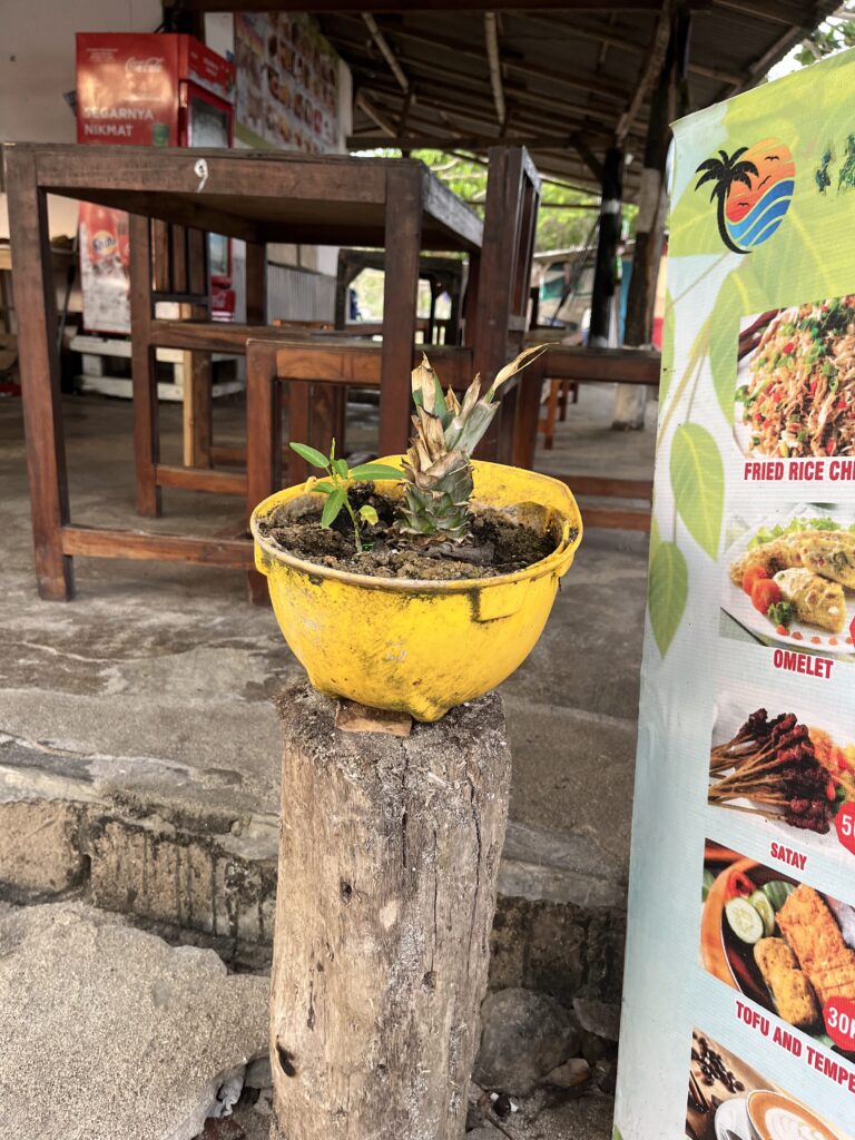 Ein etwas anderes Halloween